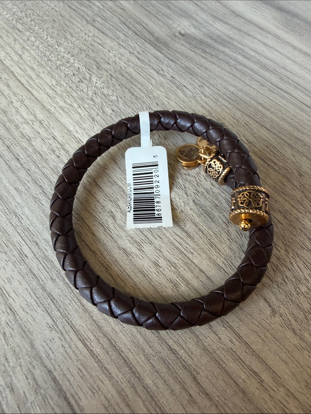 Alex and Ani Brown Braided Leather Bracelet with Gold-Tone Charms